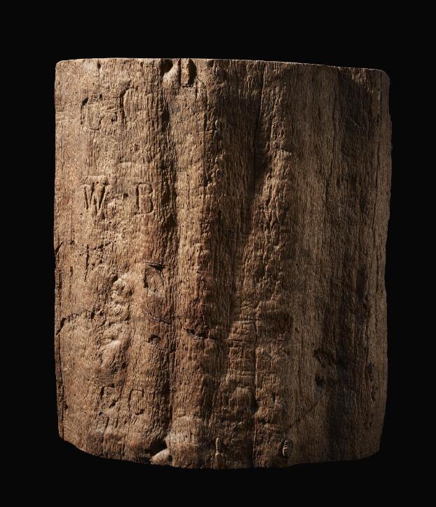 A large section of a tree trunk, varnished and polished to show the natural grain. The surface is scratched, and the initials "C. C." and "W. B." are visible carved into the surface.