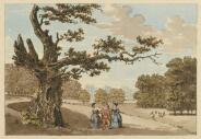 Ireland Herne's Oak 1799